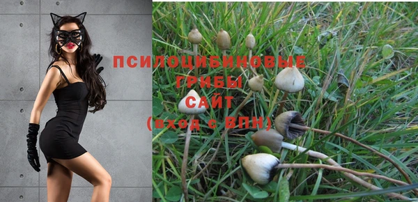 гашик Магадан